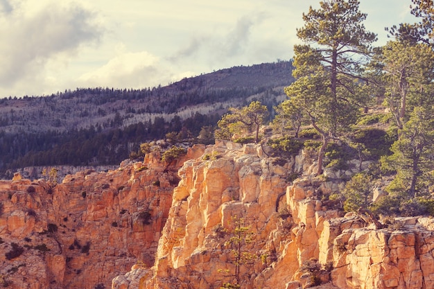 Zandsteenformaties in Utah, VS