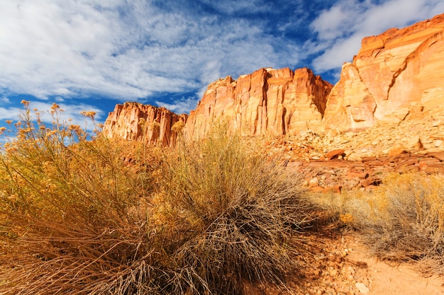 Zandsteenformaties in Utah, VS