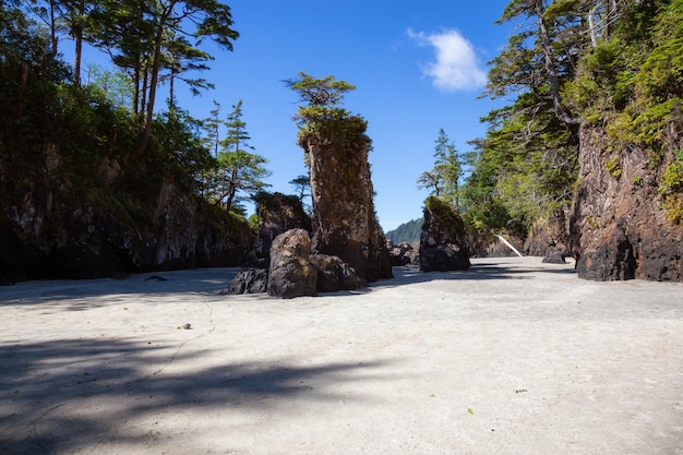 Zandstrand aan de kust van de Stille Oceaan San Josef Bay