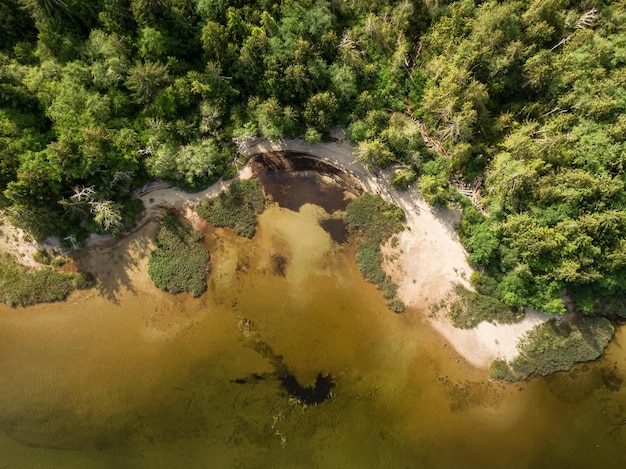 Zandstrand aan het meer met groene bomen Canadese natuur achtergrond