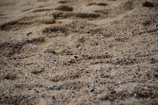 Zandstrand aan zee