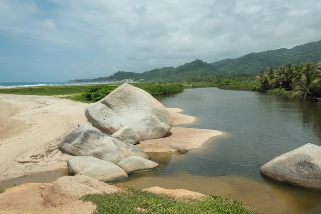 Zandstrand en meer in de jungle