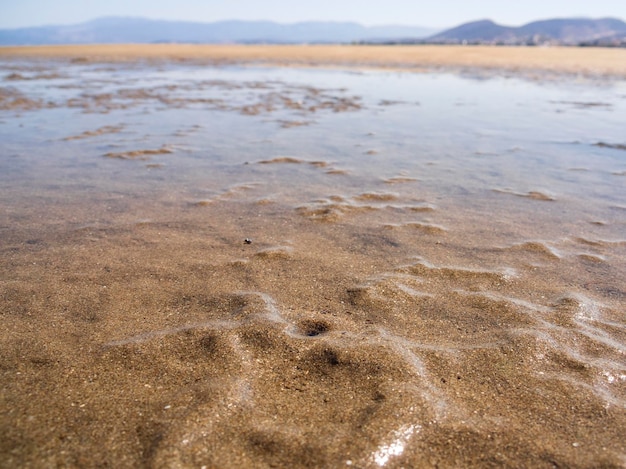 Zandstrand Liani Ammos op het eiland Evia in Chalkida, Griekenland op een zonnige zomerdag