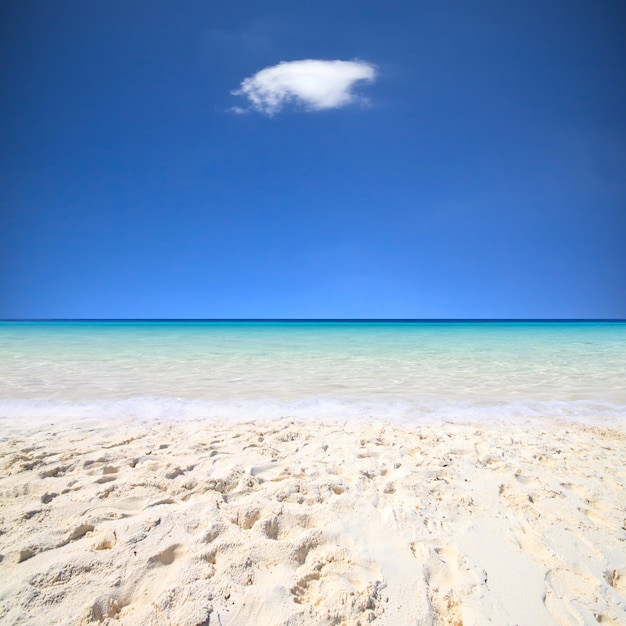 Zandstrand met de achtergrond van de zee.