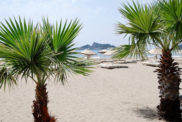 Zandstrand met palmbomen in Fethiye Turkije zee en eiland in de verte