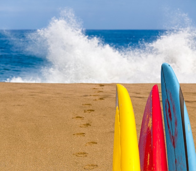 Zandstrand met surfplanken naar water