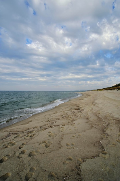 Zandstrand Oostzee Koerse landtong