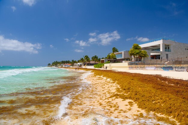 Zandstrand op een zonnige dag met hotels in Playa del Carmen Mexico