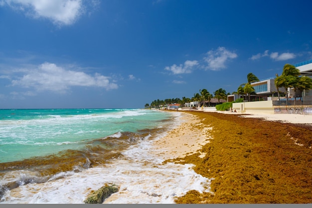 Zandstrand op een zonnige dag met hotels in playa del carmen mexico