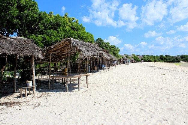 Zanzibar beach