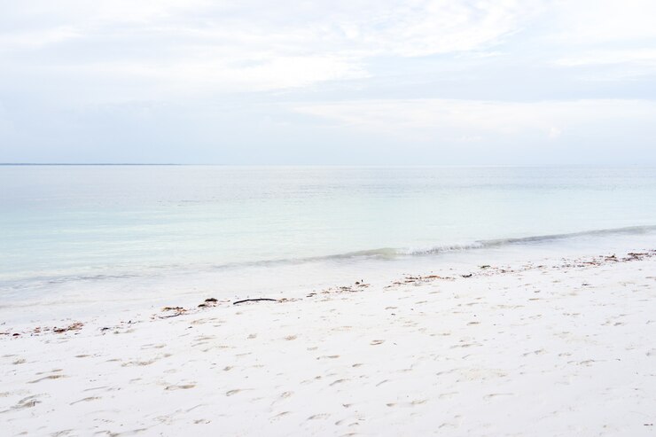 Zanzibar beach