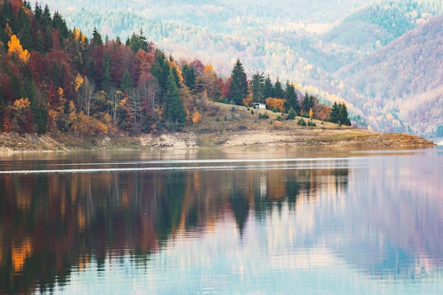 Zaovine Lake landscape in Tara National Park, Serbia 