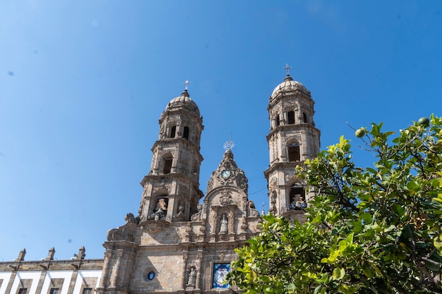 Zapopan-kathedraal met heldere hemelboom op de voorgrond Mexico Jalisco Guadalajara