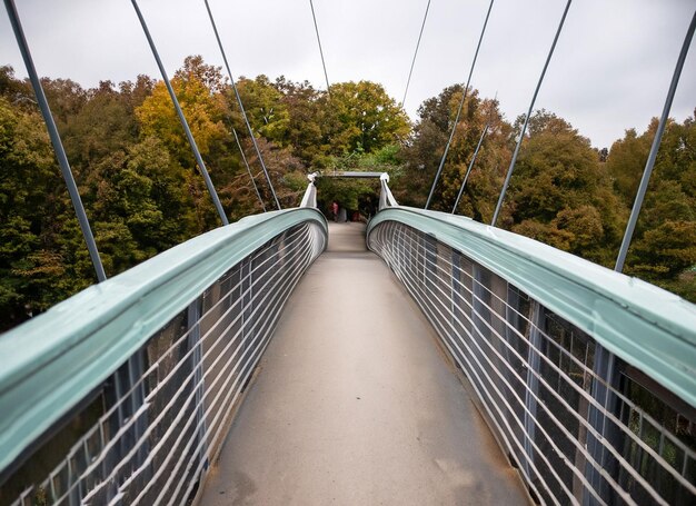 Foto strisce pedonali sulla strada