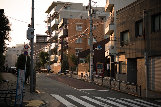 街の建物に沿って通りを横断するゼブラ