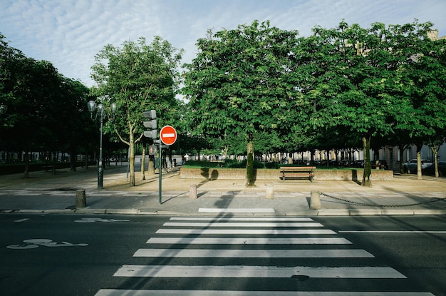 Zebra oversteekt een stadsstraat met een verkeersbord op het trottoir tegen de lucht