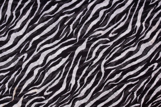 Photo zebra pattern, animal print background, black and white shapes