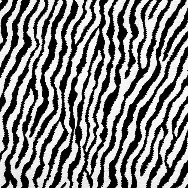 Photo zebra print useful as a background or pattern