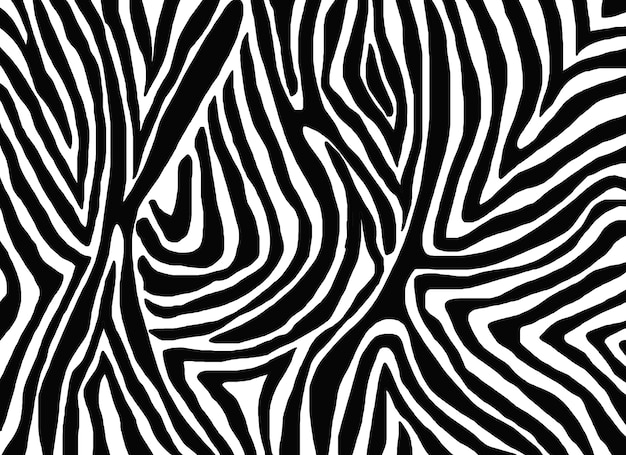 Photo zebra skin pattern