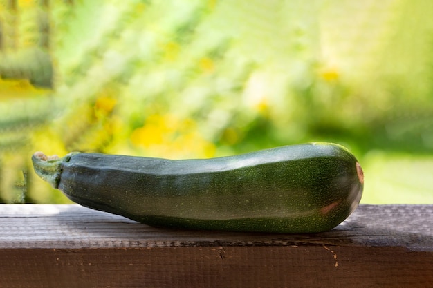 Zeden gestreepte courgette op een houten ondergrond tegen de achtergrond van een groene tuin. Gezond eten.