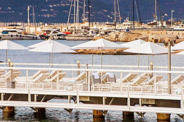 Zee baai en pier met jachten boten en parasol in Cannes