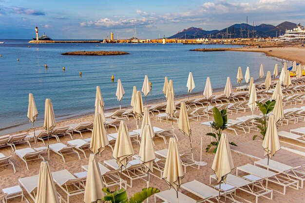 Zee baai met jachten boten en parasol in Cannes