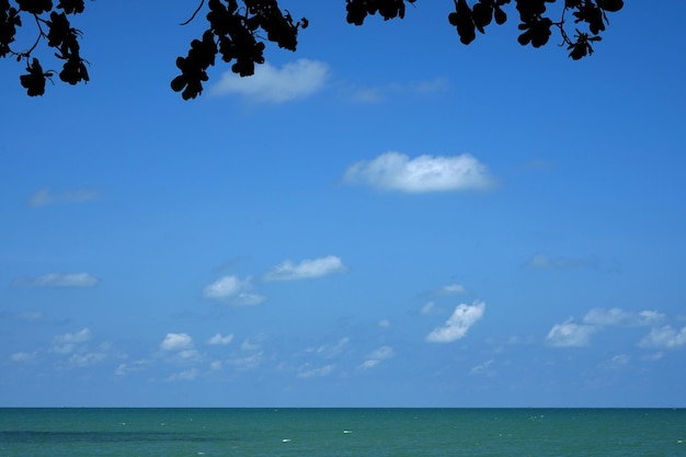 Zee en blauwe lucht met wolken die onder de bomen op het strand kijken