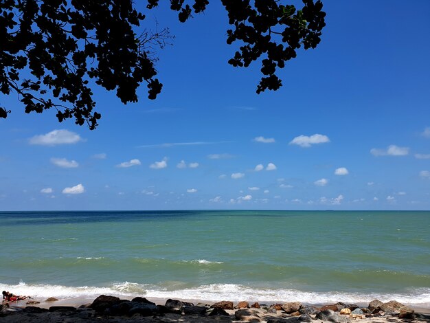 Zee en blauwe lucht met wolken die onder de bomen op het strand kijken