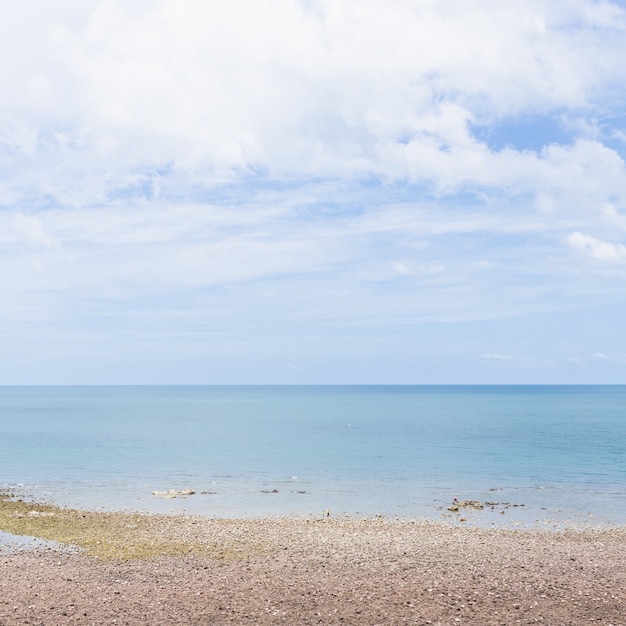 Zee- en zandstrand