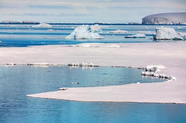 Zee-ijs Antarctisch Schiereiland Antarctica