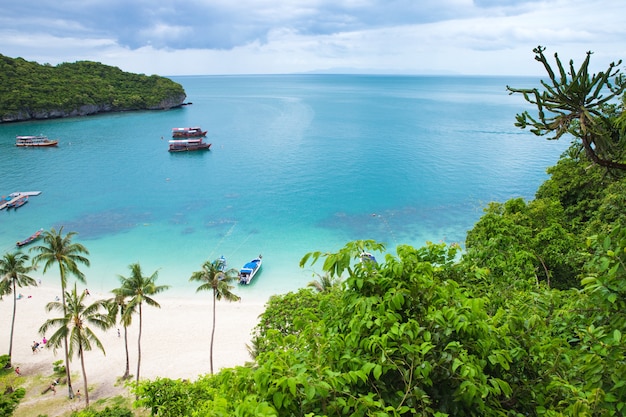 Zee van strand Caribische zee