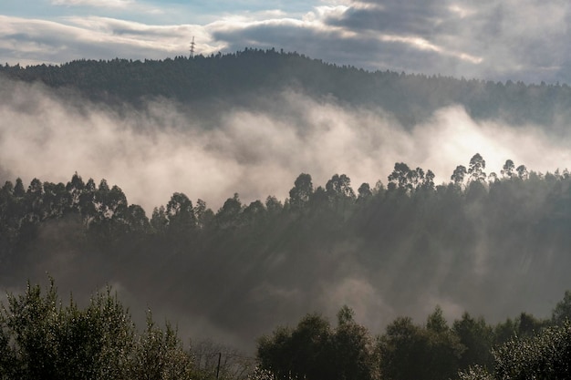 Zee van wolken in de vallei van de rivier de aguera