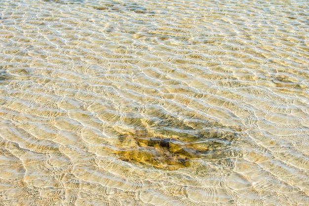 Foto zee zand textuur water