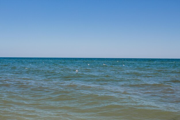 Zee zandstrand tegen blauwe lucht