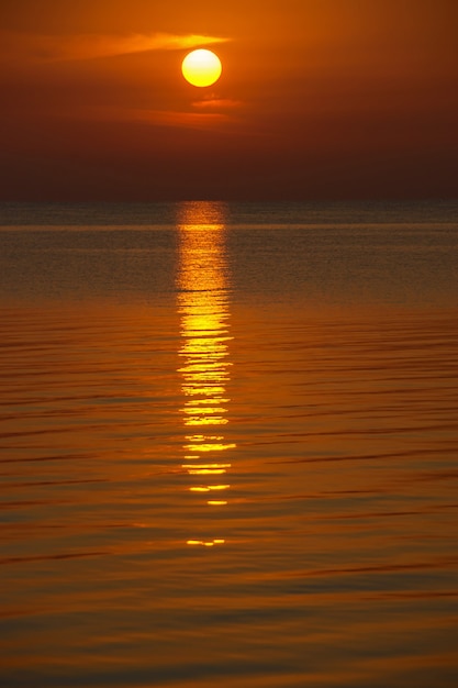 Foto zee zonsondergang. mooie gouden zonsondergang. de zon zit op de palm gemaakt van wolken boven de zee en laat reflectie op het water achter.