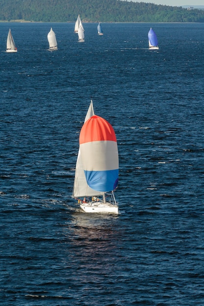 Zeeboot met witte zeilen