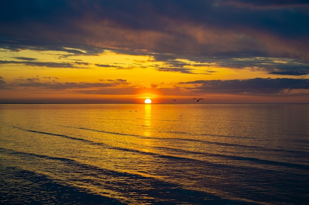 Zeemeeuw vliegt laag over het water op kleurrijke zee met wolken op zonsondergang