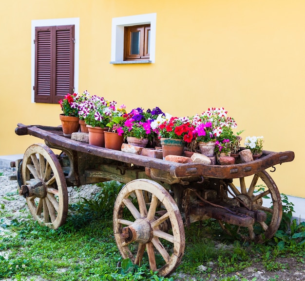 Zeer elegante manier om bloemen te tonen in Toscane - Italië