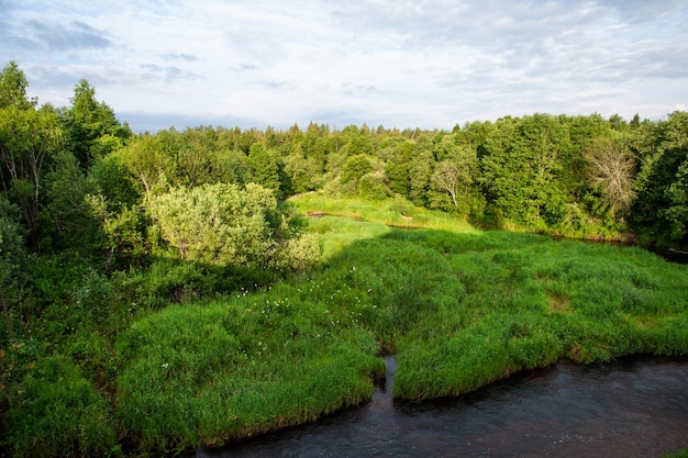 Zeer mooi sprookjeslandschap met weelderig gras en een stromende rivier vanuit de lucht