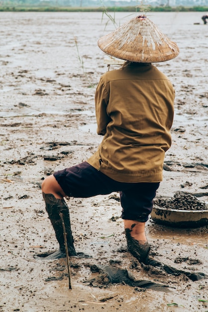 Zeeslakken verzamelen in Vietnam