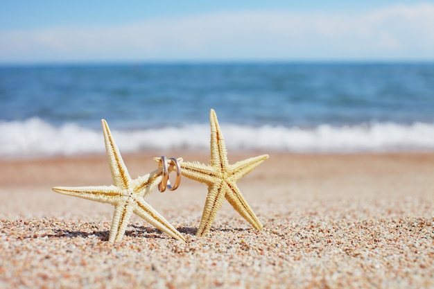 Zeester met trouwringen op het strand