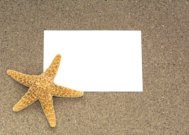 Zeester op een zandstrand op een strand