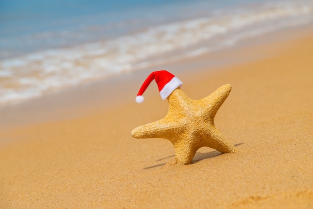 Zeester Santa Claus op het strand