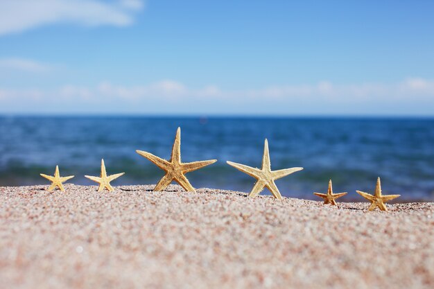 Zeesterren op het strand. Zandstrand met golven.