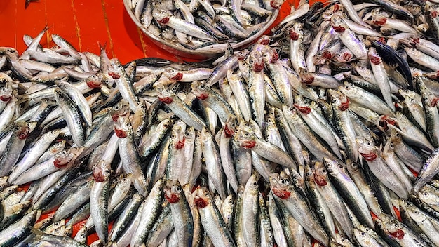 Zeevruchten en rauwe vismarkt. Voedselconcept foto.