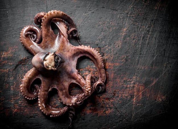 Foto zeevruchten verse octopus