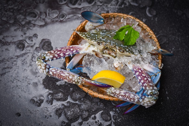 Zeevruchtenkrab op ijs - Verse rauwe Blue Swimming Crab oceaan gourmet met ijs op donkere achtergrond in het restaurant