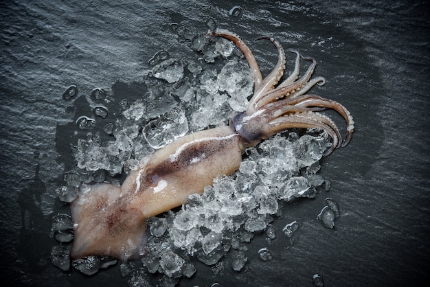 Zeevruchtenpijlinktvis op ijs / Verse octopus oceaan gastronomische ruwe pijlinktvis met ijs donkere achtergrond in het restaurant