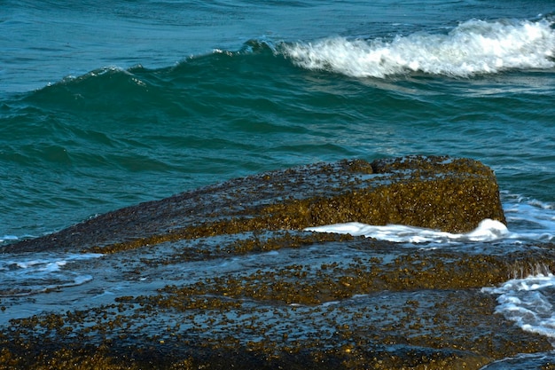 Zeewater strand oceaan zomer blauw vissen reizen