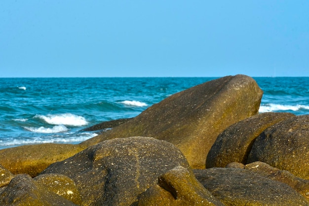 Zeewater strand oceaan zomer blauw vissen reizen